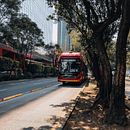Fotografía de viajes y lifestyle: CDMX. Photograph, Outdoor Photograph, Lifest, le Photograph, Documentar, and Photograph project by Marina Mejia leon - 11.09.2021