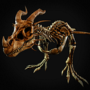 Dragon Skeleton. Un proyecto de 3D, Animación, Diseño de personajes, Diseño de juegos, Animación 3D, Modelado 3D, Videojuegos y Diseño 3D de Alex Sanrey - 06.11.2021