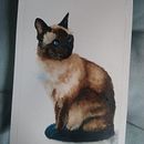 Loose watercolour Siamese Cat. Un proyecto de Pintura a la acuarela de billinb70 - 11.11.2021