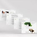 Web CBD SUNSANE. Un progetto di Web design e Web development di meryanrivers - 21.04.2021