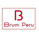 Proyecto de asesorias contables BRUM . Pemasaran Digital proyek oleh Ernesto Pacheco Lynch - 11.13.2021