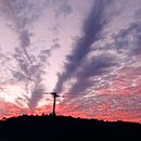 Naturaleza . Ilustrasi Naturalistik proyek oleh dominicgasper741 - 11.13.2021