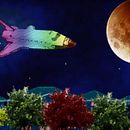 Meio Trono e um Rei (2018). Animation, Music, Film, Video, and TV project by Daniel Catarino - 09.30.2018