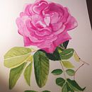 Mi Proyecto del curso: Ilustración botánica con acuarela. Traditional illustration, Fine Arts, Painting, Drawing, Watercolor Painting, and Botanical Illustration project by Maria Granadero Bello - 11.13.2021