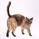 Gatito. Un proyecto de Ilustración tradicional, Pintura a la acuarela e Ilustración editorial de Aron Schultz - 14.11.2021