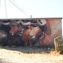 Pintura mural y memorias colectivas. Pintura, e Arte urbana projeto de Alba Boscà - 14.11.2021