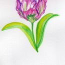 Meu projeto do curso: Ilustração de elementos naturais em aquarela. Un projet de Illustration traditionnelle, Illustration naturaliste , et Aquarelle de Simone Gomes Siqueira - 14.11.2021