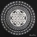 Navrathri - 9 days 9 colors of Mandala Ein Projekt aus dem Bereich Zeichnung von Shwetha Acharya - 14.11.2021