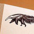 Gravura Tamanduá-Bandeira. Un progetto di Illustrazione digitale e Illustrazione tradizionale di Victor Tognollo - 17.11.2021