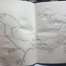 My project in Daily Sketching for Creative Inspiration course. Ilustração tradicional, Esboçado, Criatividade, Desenho, e Sketchbook projeto de Wenny Chow - 17.11.2021