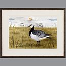 Birds, beetles and plants. Un progetto di Pittura ad acquerello di Michael Romanov - 18.11.2021
