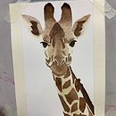 Mi Proyecto del curso: Técnicas experimentales de acuarela para principiantes. Traditional illustration, Fine Arts, Watercolor Painting, and Naturalistic Illustration project by Monika Pablos Monzo - 11.19.2021