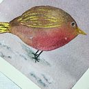 Recent works. Pintura em aquarela projeto de Lisa Jane - 20.11.2021