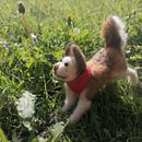 Mi Proyecto del curso: Creación de animales con needle felting. Arts, Crafts, To, Design, and Fiber Arts project by Katherine Roldan Estrada - 11.20.2021