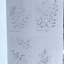 My project in Artistic Floral Watercolor: Connect with Nature course. Ilustração tradicional, Pintura, Pintura em aquarela e Ilustração botânica projeto de Lisa Jane - 20.11.2021