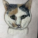 My project in Needle Felting: Paint Portraits with Wool course. Un progetto di Artigianato, Fiber Art e Illustrazione naturalistica di Alice Martinez - 21.11.2021