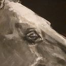 'Patron'. Traditional illustration, Creativit, Painting, Acr, and lic Painting project by debbykicken - 11.22.2021