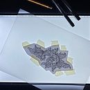 Il mio progetto del corso: Introduzione all’etching tattoo . % Tania Presta tarafından hazırlanan Dövme Tasarımı projesi - 11.28.2021