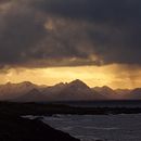 My project in Beginner’s Photography: Basic Camera Use and Theory course . % Agata Popiel-Machnicka tarafından hazırlanan Fotoğrafçılık, Dijital Fotoğrafçılık, Fotoğrafik Kompozis, Ve on projesi - 10.18.2021