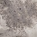 Il mio progetto del corso: Fotografia ibrida per la sperimentazione creativa. Un progetto di Fotografia, Ritocco fotografico, Fotografia artistica, Fotografia analogica e Autoritratto fotografico di luisasomma - 24.11.2021