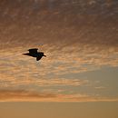 Paisaje y naturaleza. Un projet de Photographie de katherina_janet_mariano_felix - 24.11.2021