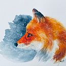 Fox_Watercolor. Un progetto di Pittura ad acquerello di Jean du Boulay - 24.11.2021
