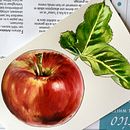 Tetley . Projekt z dziedziny Trad, c i jna ilustracja użytkownika Amparo Losana - 26.11.2021