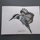 Colibrí. Mi Proyecto del curso: Acuarela naturalista con expresión y personalidad. Un proyecto de Ilustración tradicional, Pintura a la acuarela e Ilustración naturalista				 de VERONICA SHIGUETA CASTILLO - 26.11.2021