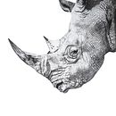 Rinoceros. Fine Arts, Ink Illustration, and Drawing project by Amélie Noel - 11.26.2021