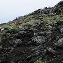 Death Stranding. Un proyecto de Fotografía de Michael Schauer - 26.11.2021
