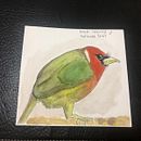 Mi Proyecto del curso: Acuarela artística para ilustración de aves. Un projet de Illustration traditionnelle, Aquarelle, Dessin réaliste et Illustration naturaliste de Ana Lorena Zamora López - 22.11.2021