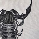 Mi Proyecto del curso: Introducción al bordado en blackwork Ein Projekt aus dem Bereich Stickerei und Textildesign von Aurora Trujillo - 26.11.2021