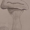 Premiers croquis. Een project van Traditionele illustratie van mymy_87865322467 - 28.11.2021