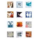 Personal project making a horoscope, combining photography with drawing . Ilustrasi tradisional, Dan Fotografi proyek oleh Annet van Esch - 02.01.2009