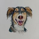 retrato dog . % eliciadiniz tarafından hazırlanan Geleneksel illüstras, Ve on projesi - 11.29.2021