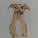 retrato cachorro caramelo . % eliciadiniz tarafından hazırlanan Geleneksel illüstras, Ve on projesi - 11.29.2021