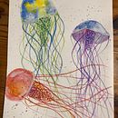 Modern watercolor techniques - Jellyfish Ein Projekt aus dem Bereich Traditionelle Illustration von Eva Ká - 30.11.2021