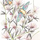 Cicadas on Rose Caliandra - Cigarras sobre Caliandra Rosa . Un projet de Illustration traditionnelle, Dessin, Aquarelle et Illustration naturaliste de claudia regina - 30.11.2021