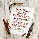 Hasta la raíz. Calligraph project by Vivi Larenas - 11.30.2021