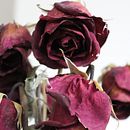 Cake Design: Modern Decorating Techniques . Een project van  Ontwerp y DIY van Daviliz Moreno - 18.11.2021