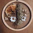 Secagem e bastidor. Un progetto di Design floreale e vegetale di Raquel Cristina Francisco - 30.11.2021