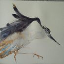 Mi Proyecto del curso: Acuarela naturalista con expresión y personalidad. Un projet de Illustration traditionnelle, Aquarelle et Illustration naturaliste de pedroarcegonzalez - 01.12.2021