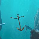 To infinity and beyond. Animação, Colagem, Animação 2D, e Edição de vídeo projeto de alvaroaars12 - 01.12.2021