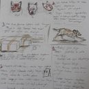 My project in  Illustrating and Writing a Children's Book course . % Ceren Didem tarafından hazırlanan Geleneksel illüstras, on, Karakter Tasarımı, Editör, al Tasarım, Yazma, Çizim, Hika, e panosu, Çocuk İllüstras, onu, Ve Anlatı projesi - 12.02.2021