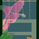 Mi Proyecto del curso: Ilustración botánica con acuarela. Projekt z dziedziny Trad, c, jna ilustracja,  Sztuki piękne,  Malarstwo,  R, sunek, Malowanie akwarelą, R i sunek botaniczn użytkownika Pablo González Julian - 03.12.2021