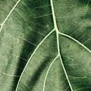 Mi Proyecto del curso: Fotografía profesional para Instagram . % Karina Trindade tarafından hazırlanan Reklamcılık, Fotoğrafçılık, Pazarlama, Sos, al Med, a, Mobil Fotoğrafçılık, Ürün Fotoğrafçılığı, Mobil Pazarlama, Instagram, Instagram Fotoğrafçılığı, Ve Yaşam Tarzı Fotoğrafçılığı projesi - 12.06.2021