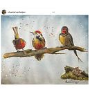 My project in Artistic Watercolor Techniques for Illustrating Birds course, “Little Mouse and his Friends” . Ilustrație tradițională, Pictură în acuarelă & Ilustrație naturalistă de Chantal Verheijen - 10.01.2021