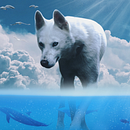 My project in Digital Collage in Photoshop: Composition and Visual Effects course. Un proyecto de Fotografía, Collage, Retoque fotográfico, Fotografía artística, Composición fotográfica y Fotomontaje de kylemagri98 - 06.12.2021