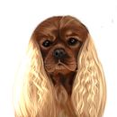 Il mio progetto del corso: Illustrazione naturalistica di animali con Procreate. Traditional illustration, Digital Illustration, Realistic Drawing, and Naturalistic Illustration project by Laura Ferrari - 02.02.2021