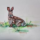 Wildlife illustration. Un progetto di Illustrazione tradizionale di Tina Honerkamp - 06.12.2021